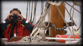 Documentaire sur la mer de Wadden